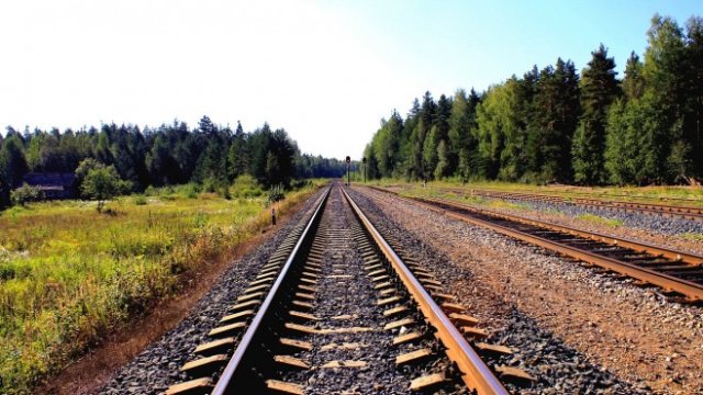 <p>
	<em>Снимка: Pixabay</em></p>
