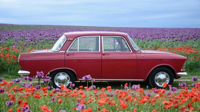 <p>
	<em>Снимка: Pixabay</em></p>
