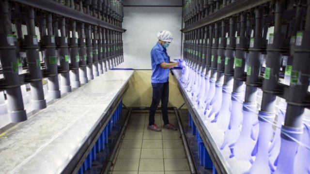 <p>
	<em>Снимка: Bloomberg</em></p>
