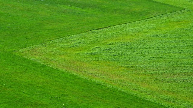 Снимка: Pixabay