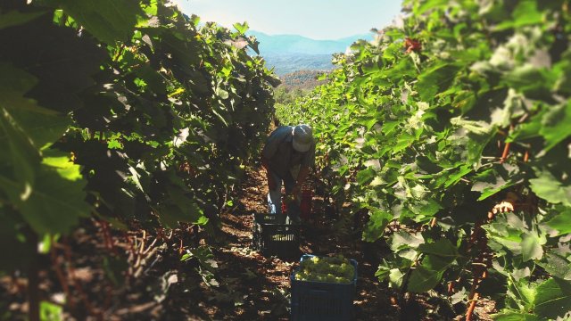 Снимка: Pixabay