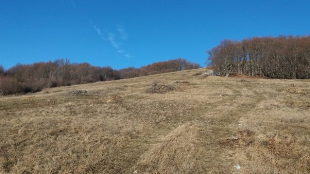 <p>
	Снимка: Investor.bg</p>
