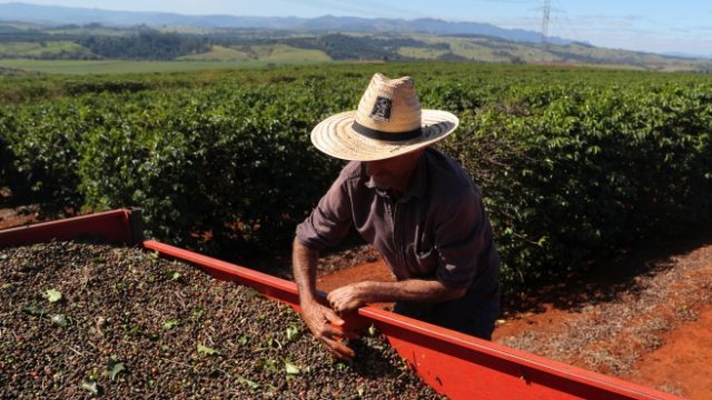 <p>
	<em>Снимка: Ройтерс</em></p>
