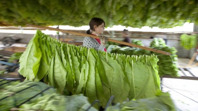 <p>
	<em>Снимка: Ройтерс</em></p>
