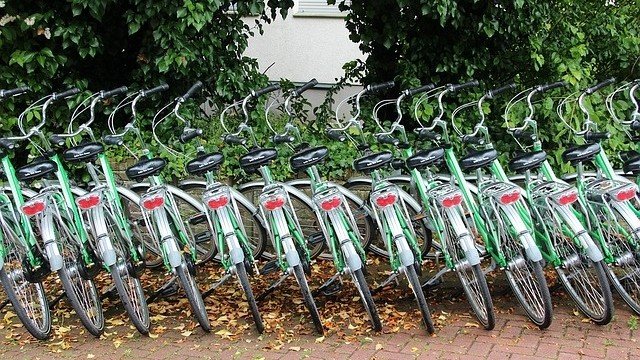 <p>
	<em>Снимка: Pixabay</em></p>
