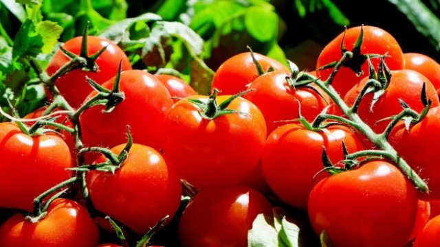 <p>
	<em>Снимка: Pixabay</em></p>
