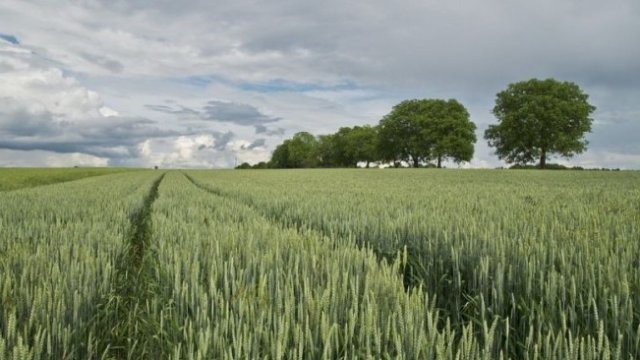 <p>
	<em>Снимка: Pixabay</em></p>
