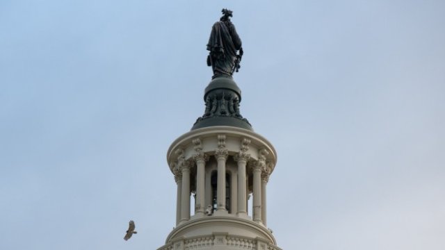 <p>
	<em>Снимка: Bloomberg</em></p>
