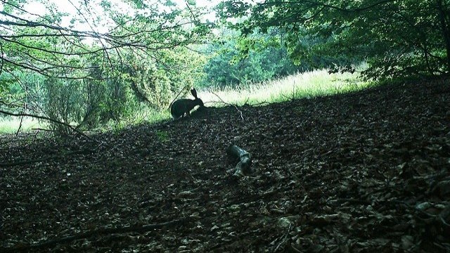 <p>
	<em>Снимка: ПП Витоша</em></p>
