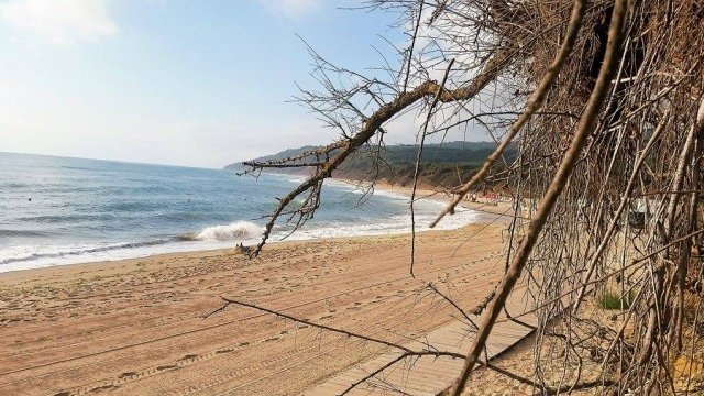 <p>
	Плажът на Иракли.&nbsp;<em>Снимка: Investor.bg</em></p>
