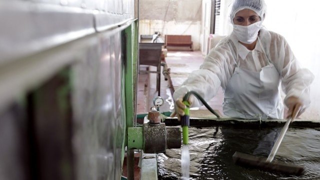 <p>
	Производство на спирулина в Куба.<em>&nbsp;Снимка: архив Ройтерс</em></p>
