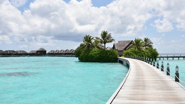 <p>
	<em>Снимка: Pixabay</em></p>
