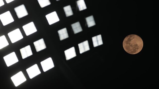 Снимка: Emilio Andreoli/Getty Images