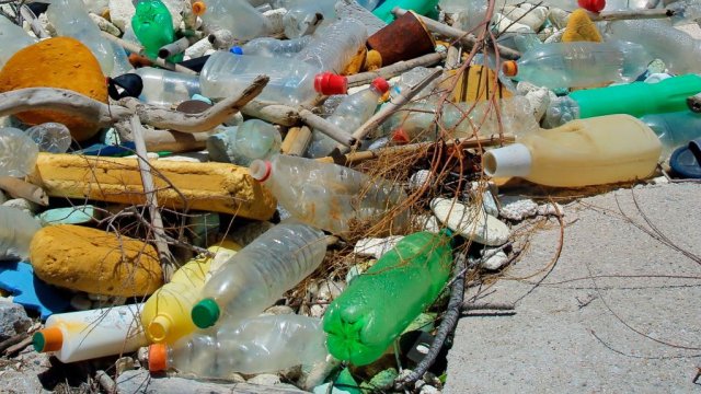 Снимка: Milos Bicanski/Getty Images