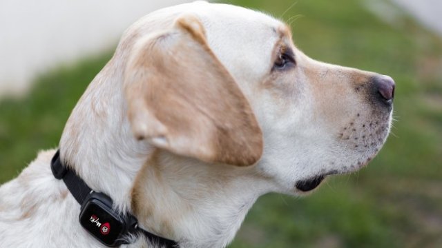 <p>
	<em>Снимка: Алтерко АД</em></p>
