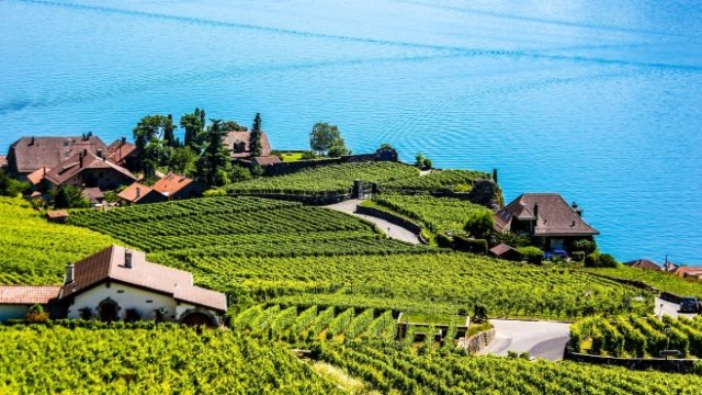 <p>
	<em>Снимка: Архив Ройтерс</em></p>
