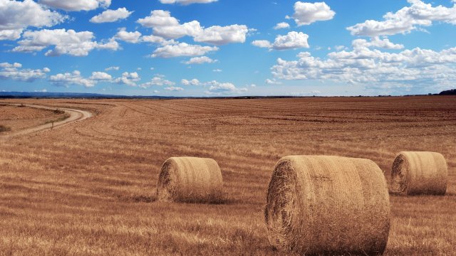 Снимка: Pixabay