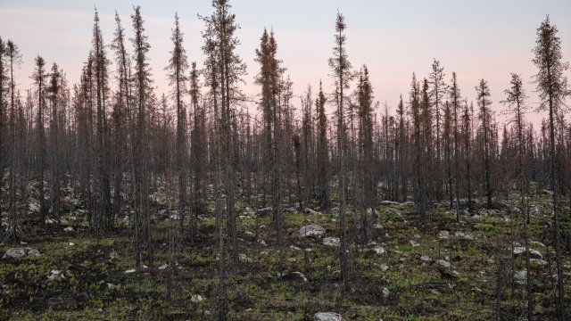 Снимка: Bloomberg L.P.