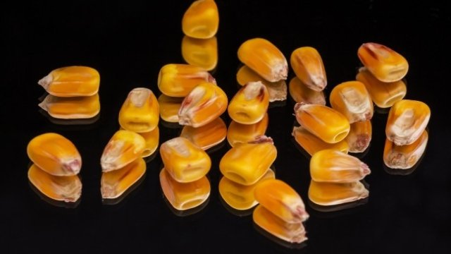 <p>
	<em>Снимка: Pixabay</em></p>
