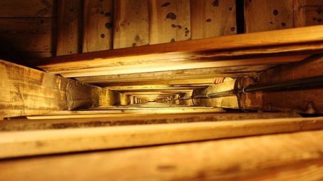 <p>
	<em>Снимка: Pixabay</em></p>
