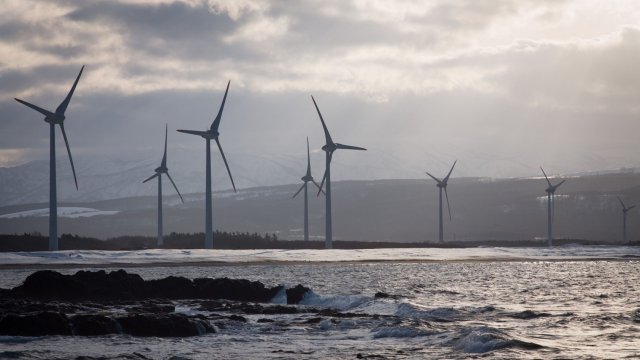 Снимка: Bloomberg LP