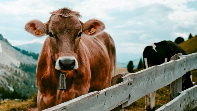 Снимка: unsplash.com