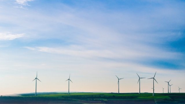 <p>
	<em>Снимка: Pixabay</em></p>
