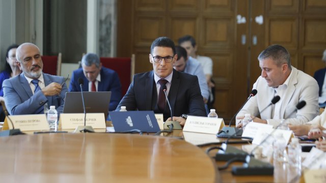 Снимка: БГНЕС/БОЯН ТОПЧИЙСКИ