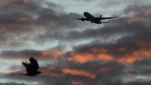 <p>
	<em>Снимка: архив Ройтерс</em></p>
