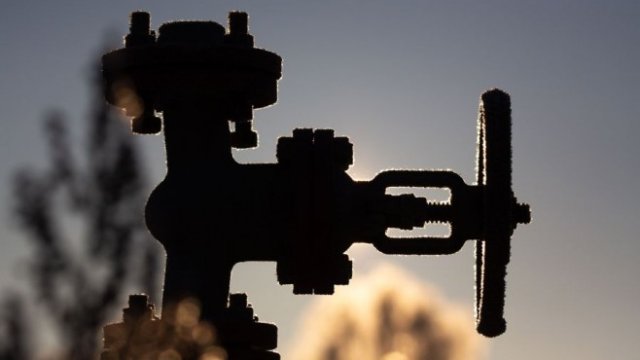 <p>
	<em>Снимка: Bloomberg Creative Photos</em></p>
