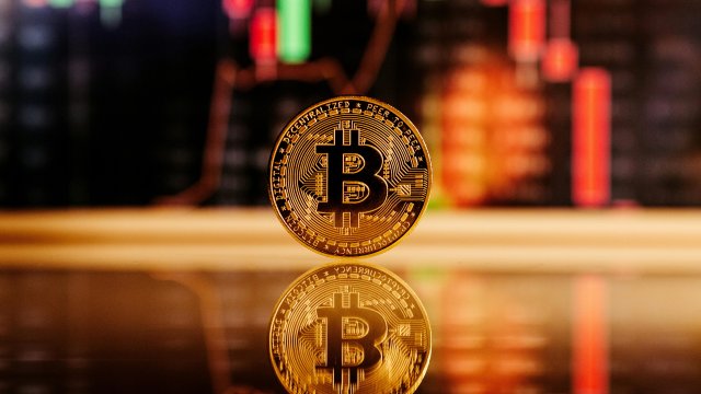 Снимка: Pexels