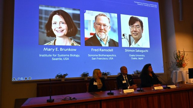 Снимка: EPA/CLAUDIO BRESCIANI/TT 