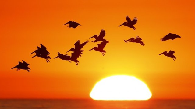 <p>
	<em>Снимка: Архив Ройтерс</em></p>
