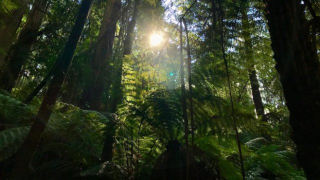 <p>
	<em>Снимка: unsplash.com</em></p>
