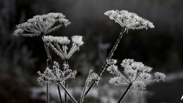 <p>
	<em>Снимка: Getty</em></p>
