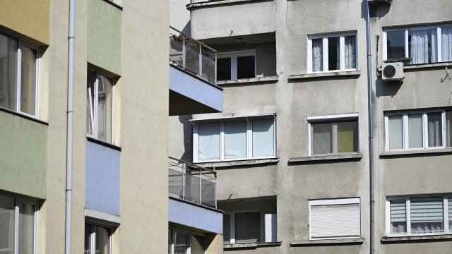 Снимка: Боян Топчийски, БГНЕС
