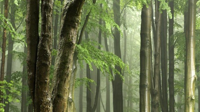 <p>
	<em>Снимка: Pixabay</em></p>
