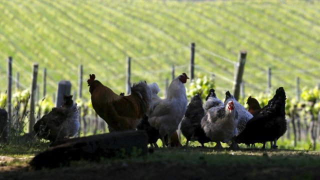 <p>
	<em>Снимка: Архив Ройтерс</em></p>
