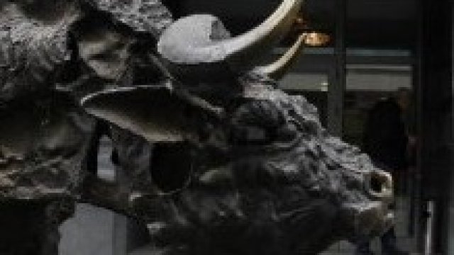 <p>
	<em>Снимка: Олег Попов, архив, Investor Media Group</em></p>

