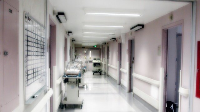 <p>
	<em>Снимка: freeimages</em></p>
