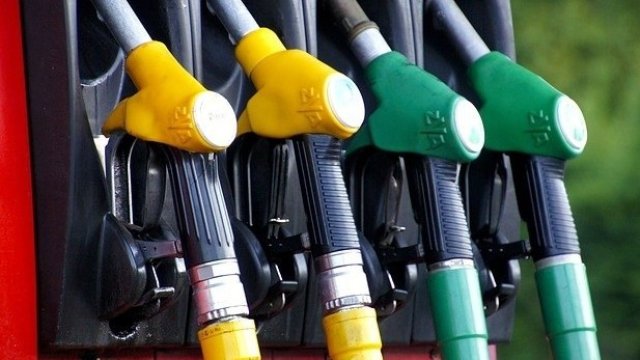 <p>
	<em>Снимка: Pixabay</em></p>
<p>
	&nbsp;</p>
