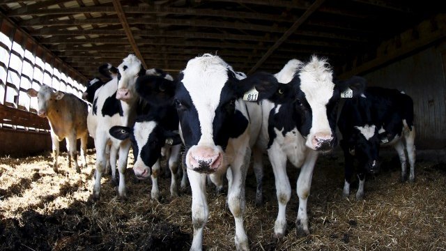 <p>
	<em>Снимка: архив Ройтерс</em></p>
