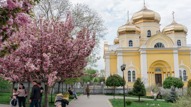 Снимка: Bloomberg L.P.