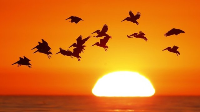 <p>
	<em>Снимка: Архив Ройтерс</em></p>
