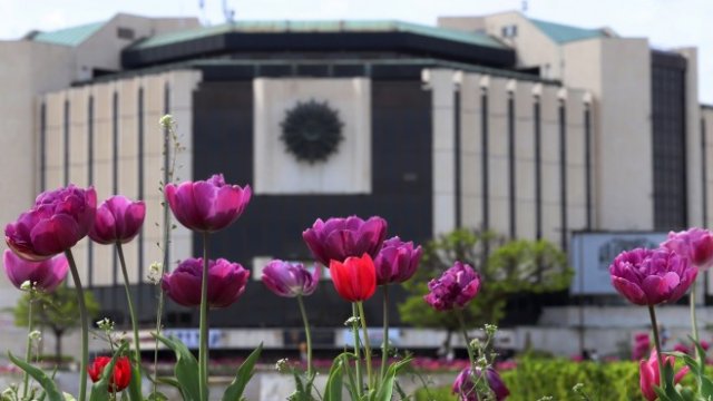 <p>
	<em>Снимка: БГНЕС</em></p>
