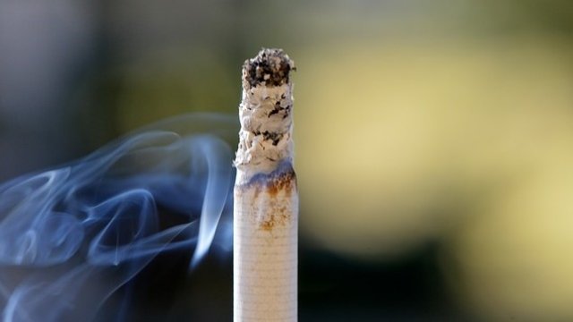 <p>
	<em>Снимка: Pixabay</em></p>
