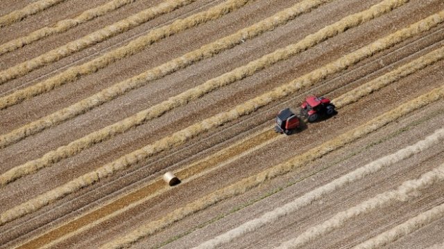 <p>
	Снимка: <em>архив Ройтерс</em></p>
