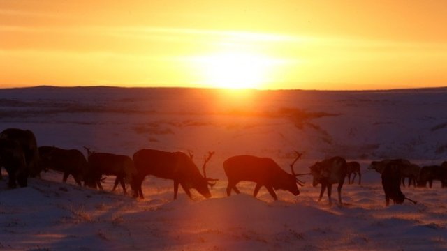 <p>
	Снимка: <em>архив Ройтерс</em></p>
