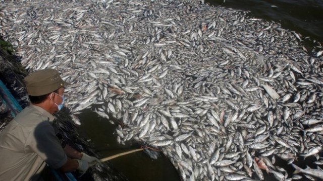 <p>
	Снимка: <em>архив Ройтерс</em></p>
