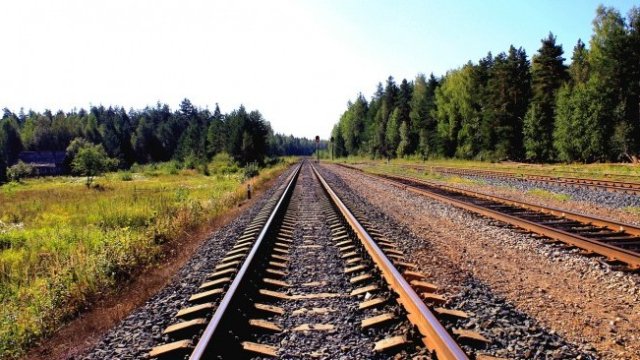 <p>
	<em>Снимка: Pixabay</em></p>
